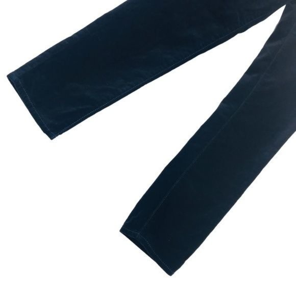 PILCRO ANTHROPOLOGIE Velvet Serif Pants Size 29 P - Picture 8 of 12